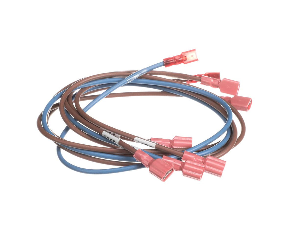 MIDDLEBY PARTS Middleby 74281 Wireset 24VDC Motor PS670 - SKU MD74281