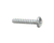 NORLAKE PARTS Norlake 034181 Screw PH 8X3/4 PH In Stzn Pltd - SKU NOR034181