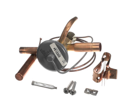 TRUE PARTS True 813303 Valve Expansion Ebfse-Azp Inlet Straine - SKU TRUE813303