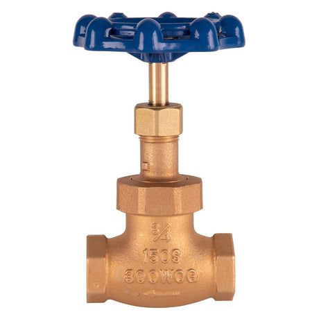 T&amp;S BRASS PARTS T&amp;S Brass 006648-20B 3/4 Globe Valve, Blue Handle - SKU TS006648-20B