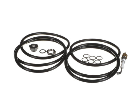 WILBUR CURTIS PARTS Wilbur Curtis PCGT6KIT - SKU WCPCGT6KIT