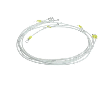 WELLS PARTS Wells 2E-300498 Wire Set B-50 506 208/240 - SKU WEL2E-300498