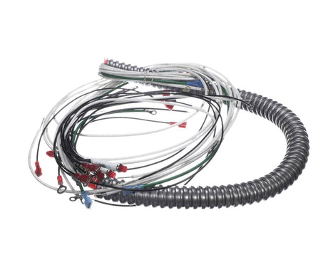 WELLS PARTS Wells 2E-48203 Wire Set MOD300TDM Autofl - SKU WEL2E-48203