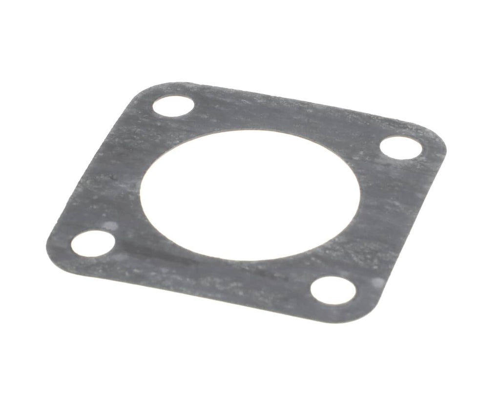 WELLS PARTS Wells 2I-302448 Gasket Pump Mounting - SKU WEL2I-302448