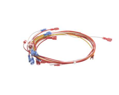 ACCUTEMP PARTS Accutemp AT2A-2898-2 Harness Assembly - SKU ACCAT2A-2898-2