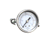 ANTUNES PARTS Antunes 2060179 Guage Pressure 1/8 Nptm - SKU AJA2060179