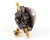 ANTUNES PARTS 4030291 - SKU AJA4030291