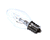 ANTUNES PARTS Antunes 4060359 Lamp Night - 120V - SKU AJA4060359