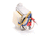 AMERICAN RANGE PARTS A10056 - SKU AMRA10056