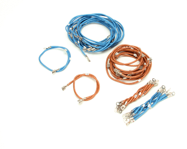APW WYOTT PARTS APW Wyott 82927 Wire Set Assembly BT-15 Dual Spd/ - SKU APW82927