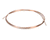 BEVERAGE AIR PARTS 203-117A - SKU BEV203-117A