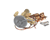 BEVERAGE AIR PARTS 303-131A - SKU BEV303-131A