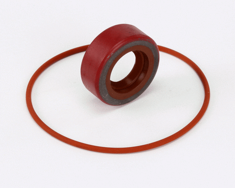 BKI PARTS BKI RK0004 Repair Kit Haight Pump - SKU BKIRK0004