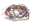 BLODGETT PARTS Blodgett 50107 Harness BCX14E Manu Rear 24V - SKU BL50107