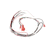 BUNN PARTS Bunn 12576.0013 Wiring Harn 240V Eca On/Off Sw - SKU BU12576.0013