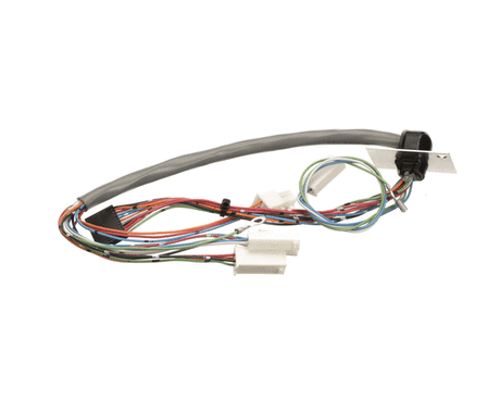 BUNN PARTS Bunn 29066.0000 Wiring Harness Door Interctpc - SKU BU29066.0000