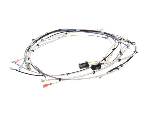 BUNN PARTS Bunn 29072.0000 Wiring Harn Main-Cdbc 120V - SKU BU29072.0000
