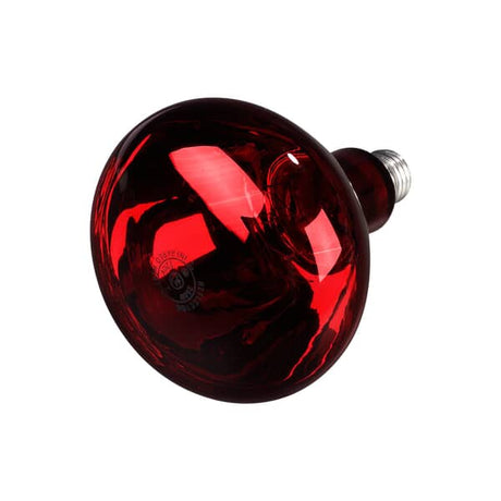 CARLISLE PARTS Carlisle HLRP705 Bulb Infrared 250W Red - SKU CARLHLRP705