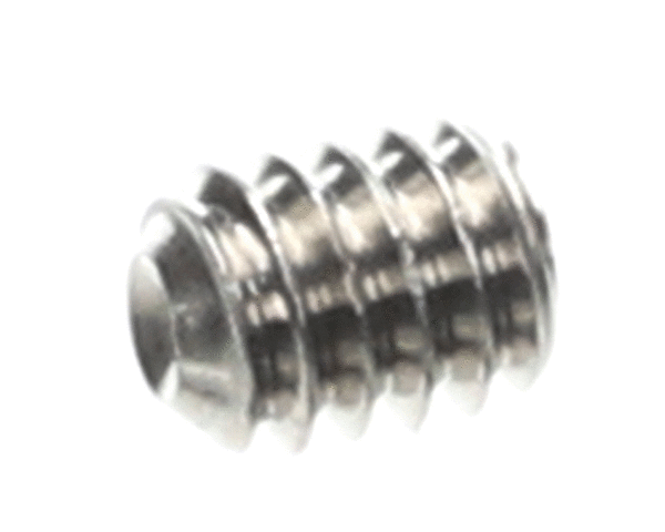 CHAMPION - MOYER DIEBEL PARTS Champion - Moyer Diebel 0501395 Screw Socket 1/4-20X5/16 SS - SKU CHA0501395