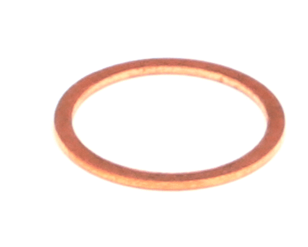 CHAMPION - MOYER DIEBEL PARTS Champion - Moyer Diebel 0502804 Gasket Strainer Cap S45 Valve - SKU CHA0502804