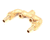 CHAMPION - MOYER DIEBEL PARTS B500743 - SKU CHAB500743
