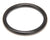 CMA DISH MACHINES PARTS CMA Dish Machines 00121.18 CMA-180 Drain Stopper O Ring - SKU CMA00121.18