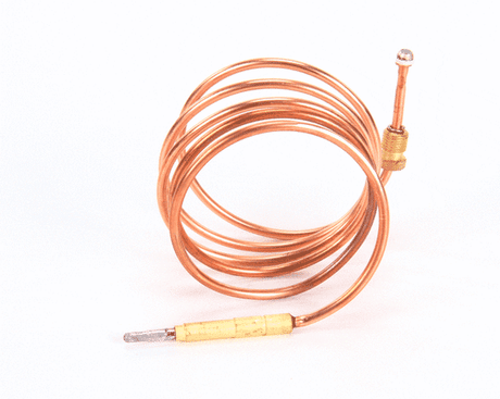 ELECTROLUX PROFESSIONAL PARTS Electrolux Professional 020094 Thermocouple M9X1 L120 Cm - SKU ELX020094