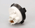 ELECTROLUX PROFESSIONAL PARTS Electrolux Professional 0C0872 Pressure Switch - SKU ELX0C0872