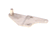 ELECTROLUX PROFESSIONAL PARTS Electrolux Professional 0C4234 Plate Assembly Upper Aosq - SKU ELX0C4234