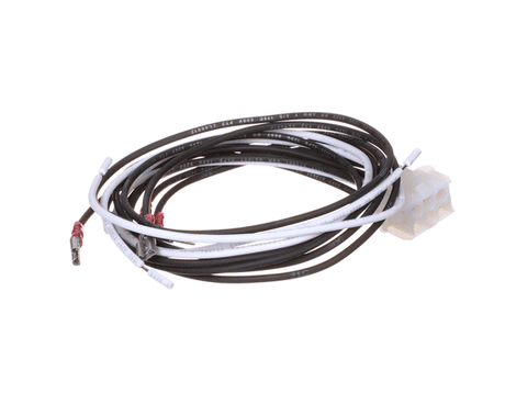 FRYMASTER PARTS Frymaster 8062079SP Harness Wr B/L Motor Untry H50 - SKU FM8062079SP