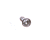 GLOBE PARTS Globe X10134B Screw - SKU GLOX10134B