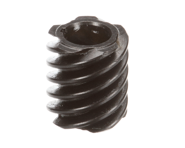 GLOBE PARTS Globe X20065 Worm (5T) - SKU GLOX20065