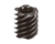 GLOBE PARTS Globe X20065 Worm (5T) - SKU GLOX20065
