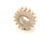 GLOBE PARTS Globe X5C41 Drive Gear (16T) - SKU GLOX5C41