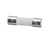 GLOBE PARTS Globe X80J22A Fuse (250 Volt / 500MA) - SKU GLOX80J22A