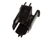 GRINDMASTER CECILWARE PARTS 02.BA0002.01N - SKU GM02.BA0002.01N