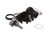 GROEN PARTS Groen 115341 Switch Assembly Speed Control - SKU GR115341