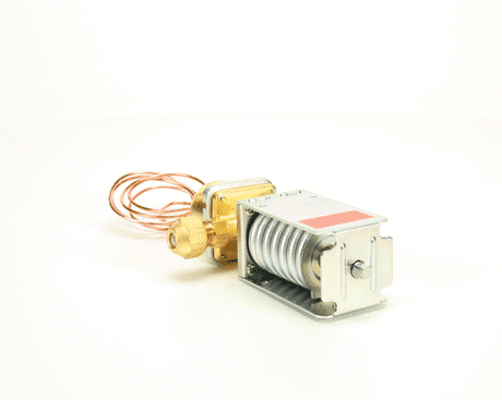 HOSHIZAKI PARTS Hoshizaki 415425-01 Water Regulator (WV2 - SKU HOS415425-01