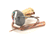 HOSHIZAKI PARTS 4A1135-01 - SKU HOS4A1135-01