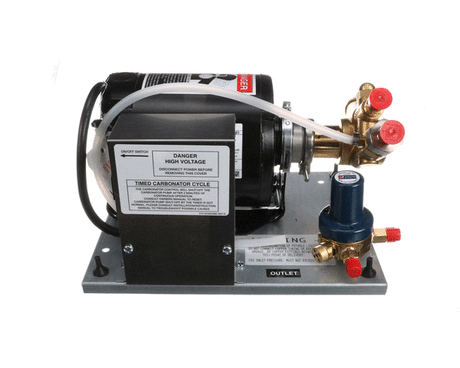 CORNELIUS PARTS Cornelius 620408124 Pump/Motor Assembly 120/60 1/3/HP - SKU ICO1041467