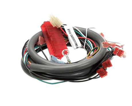 CORNELIUS PARTS Cornelius 629096913 Kit Wire Harns Ilum Opt QST4 - SKU ICO1058373