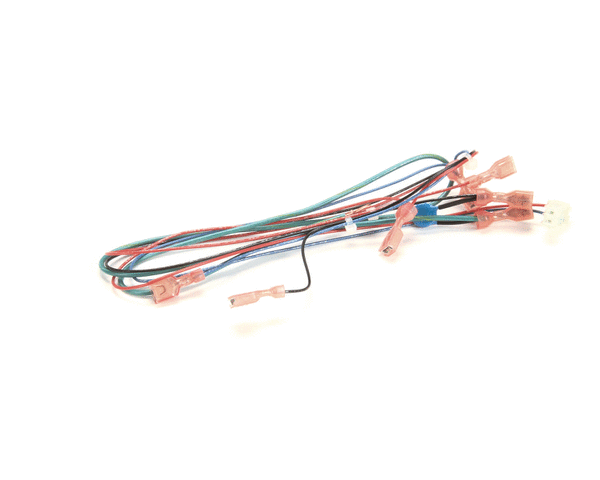 MULTIPLEX PARTS Multiplex 00213831 Harness Water And Soda Sw - SKU MANB00213831
