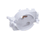 MULTIPLEX PARTS Multiplex 020002168 Base Starter Snap In - SKU MANB020002168