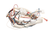 PITCO PARTS Pitco B6759501 Wiring Spinal Tap Lower Fbg - SKU PTB6759501