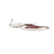 ROYAL RANGE PARTS Royal Range WIREHARNESS Complete Wiring Harness - SKU ROYWIREHARNESS