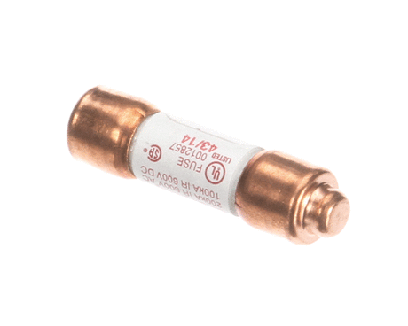 SALVAJOR PARTS Salvajor 994095 Fuse 1 Amp 208-230V - SKU SAL994095