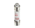 SALVAJOR PARTS Salvajor 994101 Fuse ATMR-2 2AMP - SKU SAL994101
