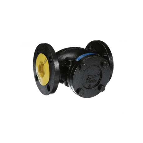 SOMAT PARTS Somat 00-975670 Check Valve 2 Flanged Cast IR - SKU SMT00-975670
