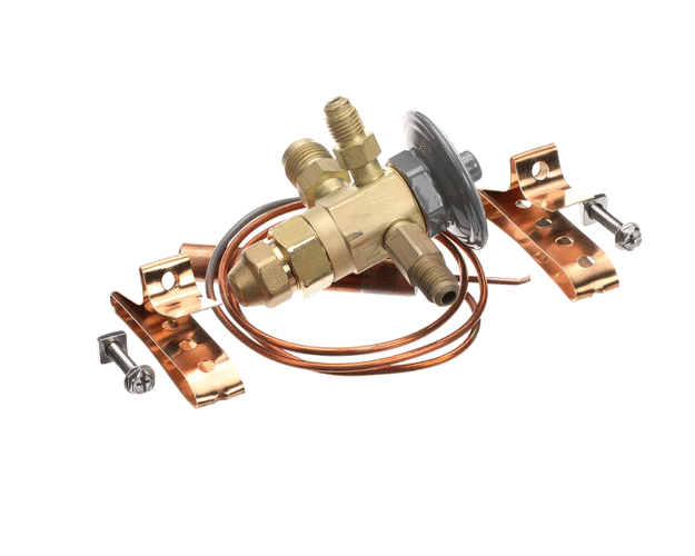TRAULSEN PARTS Traulsen 325-60022-09 Thermo Expansion Valve FBSE-1/8-ZP - SKU TR325-60022-09