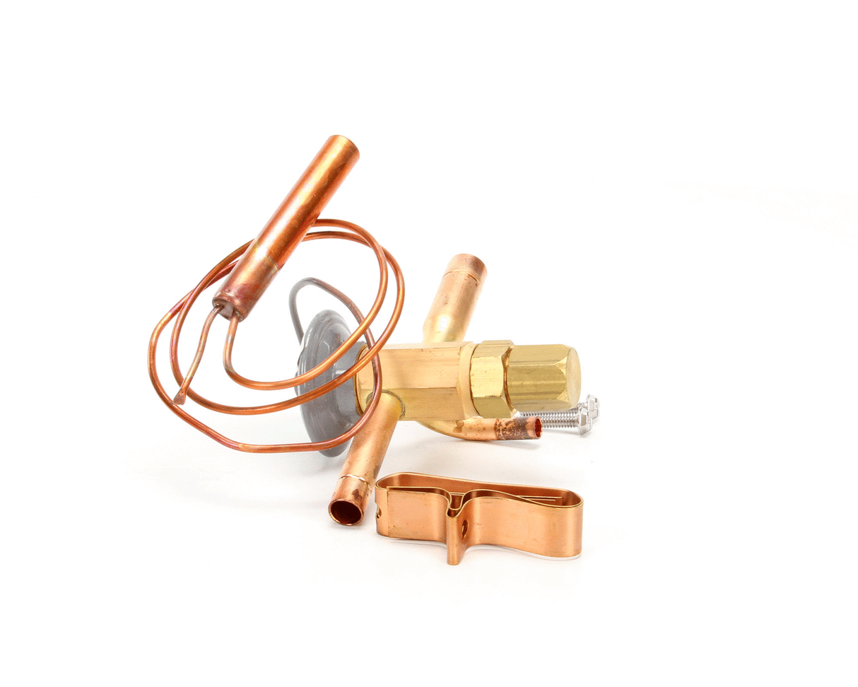 TRUE 813300 VALVE EXPANSION EBFSE-AAAC INLET STRAINE